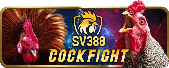Theo dõi lịch sử trận đấu đá gà e888 win